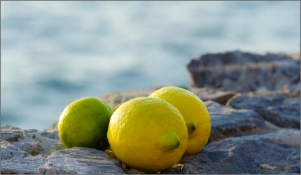 Citrons - Photos grid - Photyne