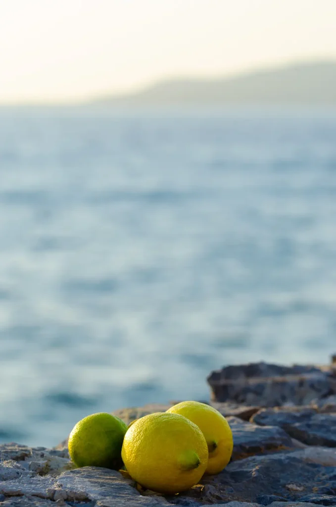 Citrons grecs - photo ambiance. - Photyne