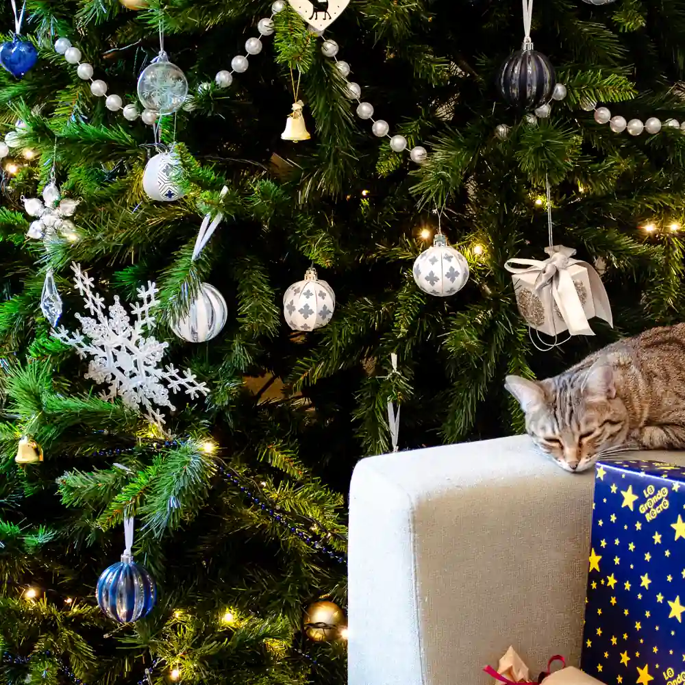 Scène de Noel- sapin décoré et chat dormant - photyne